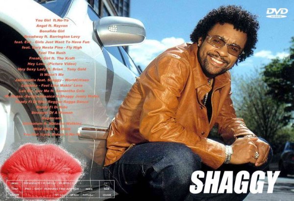 画像1: シャギー大画面高画質プロモ SHAGGY NE-YO Reggae DVD (1)