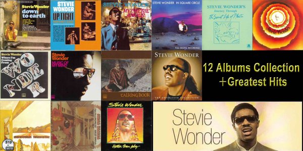 画像1: S10■スティーヴィー・ワンダー12アルバム+38曲ベスト Stevie Wonder MP3 CD (1)
