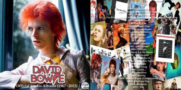 画像1: DVDB■デヴィッド・ボウイ David Bowie Official Studio Albums(1967 - 2022) MP3DVD (1)
