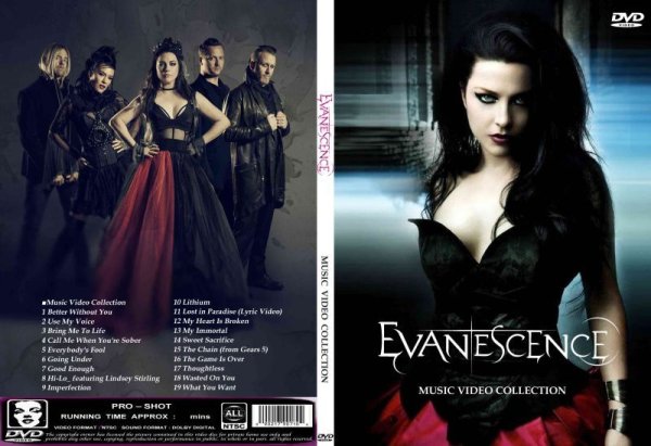 画像1: エヴァネッセンス 高画質プロモ Evanescence DVD (1)