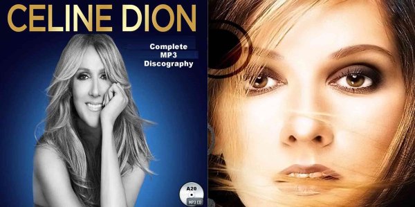 画像1: A20■セリーヌ・ディオン 2023+ベスト Celine Dion MP3CD CD (1)