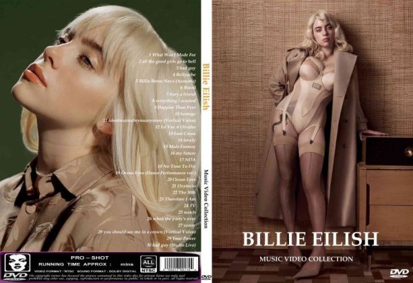画像1: ビリー・アイリッシュ 2023プロモ Billie Eilish DVD (1)