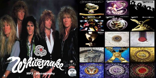 画像1: DVW■ホワイトスネイク全アルバム モンスターアイテム Whitesnake MP3DVD (1)