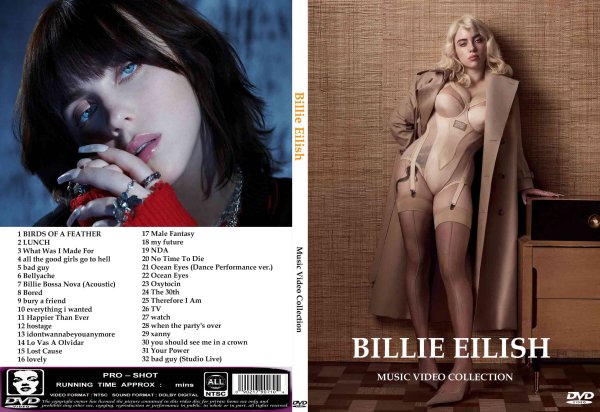 画像1: ビリー・アイリッシュ 2024プロモ Billie Eilish DVD (1)