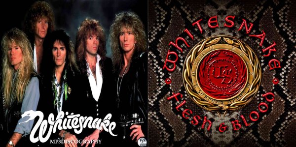 画像1: W8■ホワイトスネイク 全アルバム Whitesnake MP3CD (1)