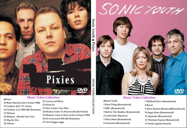 画像1: ソニック・ユース●ピクシーズ Sonic Youth■Pixies プロモ DVD (1)