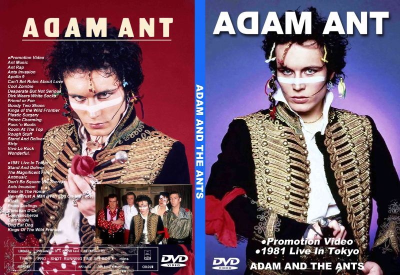 アダム ジ アンツ プロモ ジャパンライブ1981 Adam And The Ants Dvd Souflesｈ 音楽工房