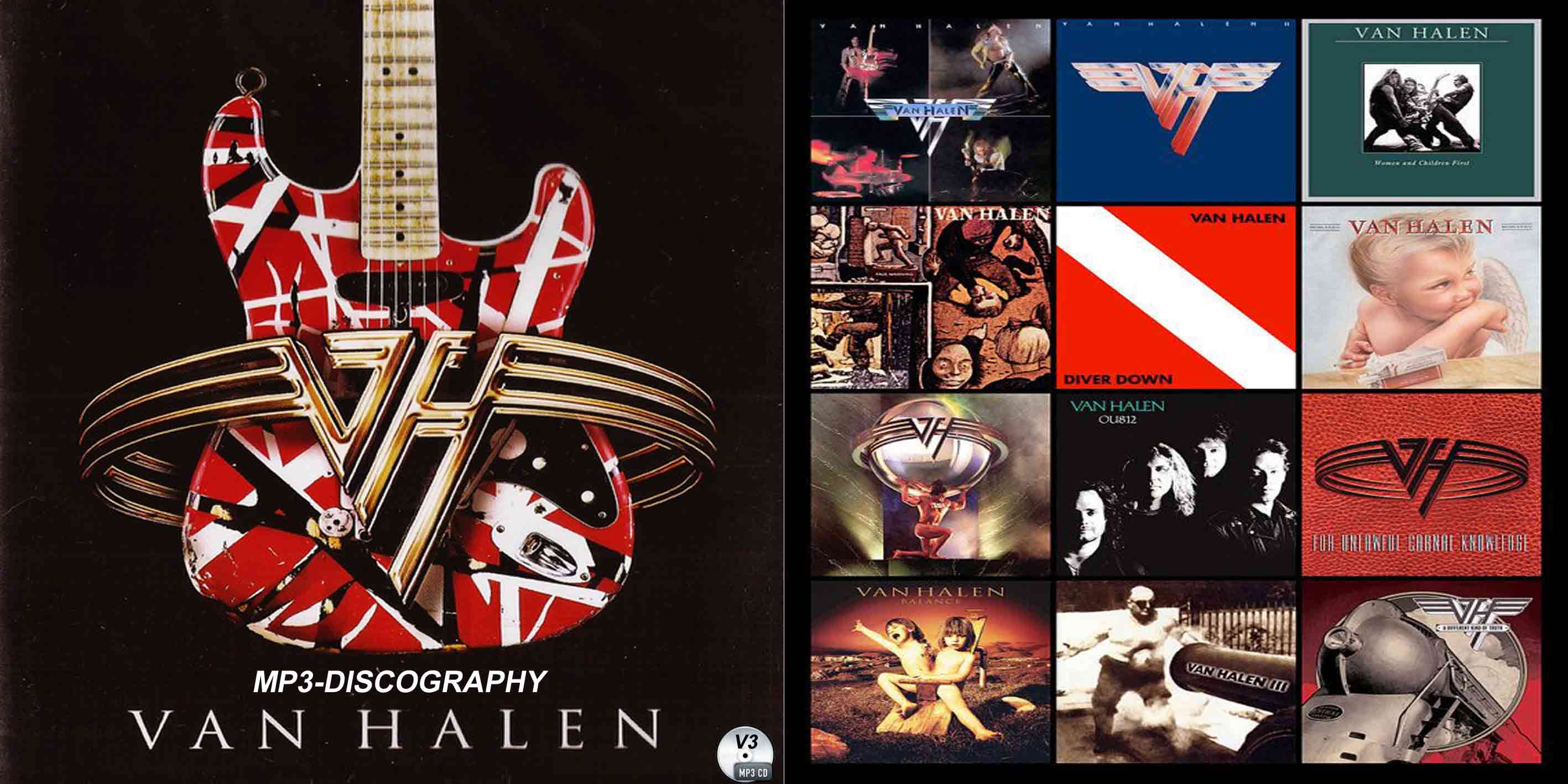 2021年最新入荷 Edward Van Halen ヴァン ヘイレン Model ピック 
