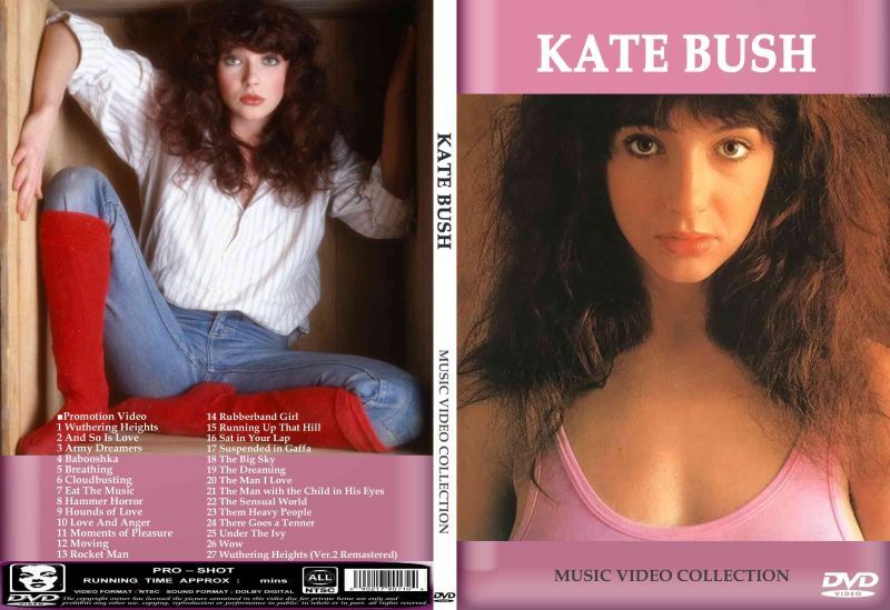 ☆ケイト・ブッシュ 全高画質プロモ集 Kate Bush DVD - souflesｈ 音楽工房