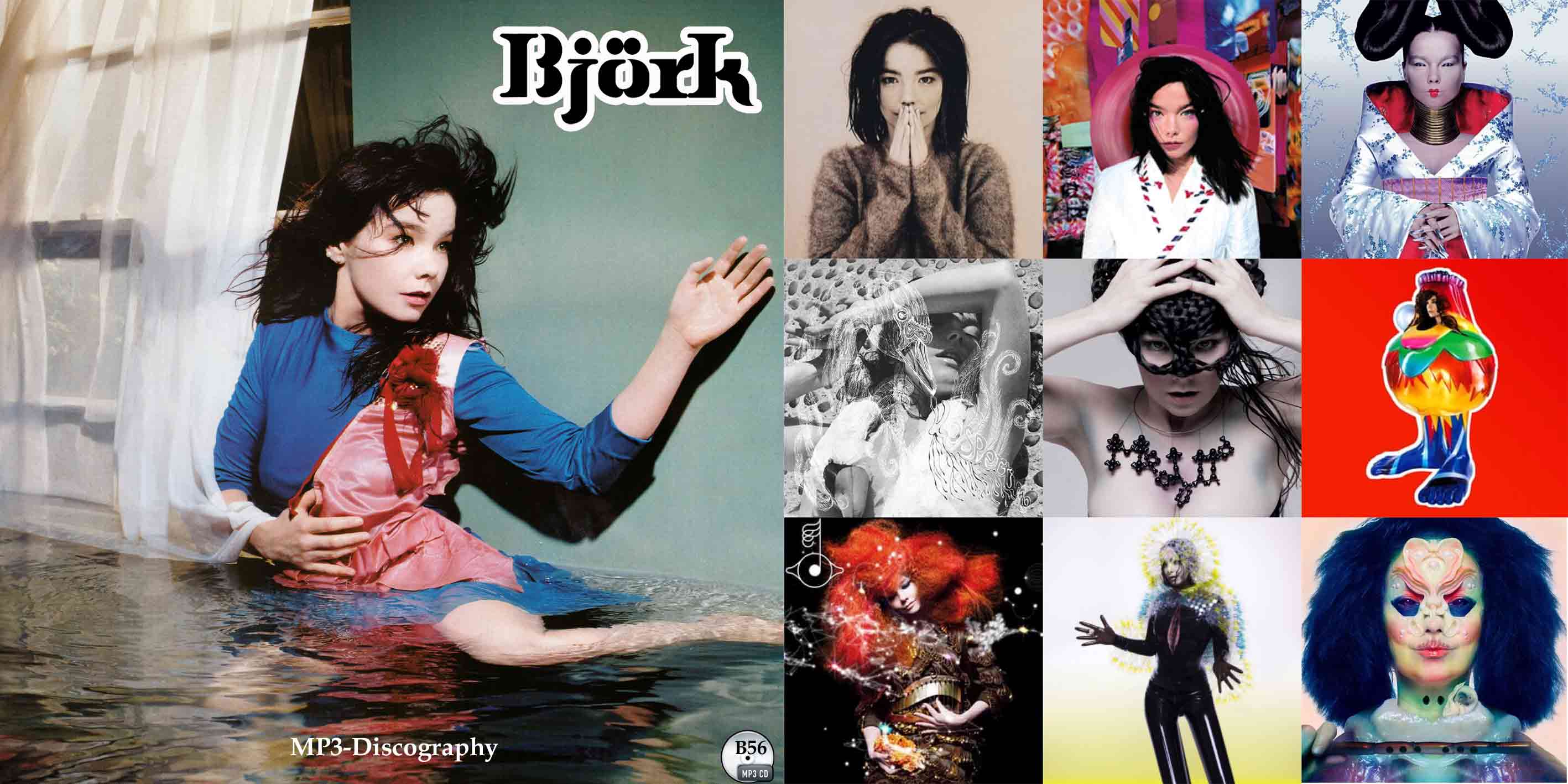 値打ち レア Bjork ビョーク 12インチ LP ポスター デビュー 