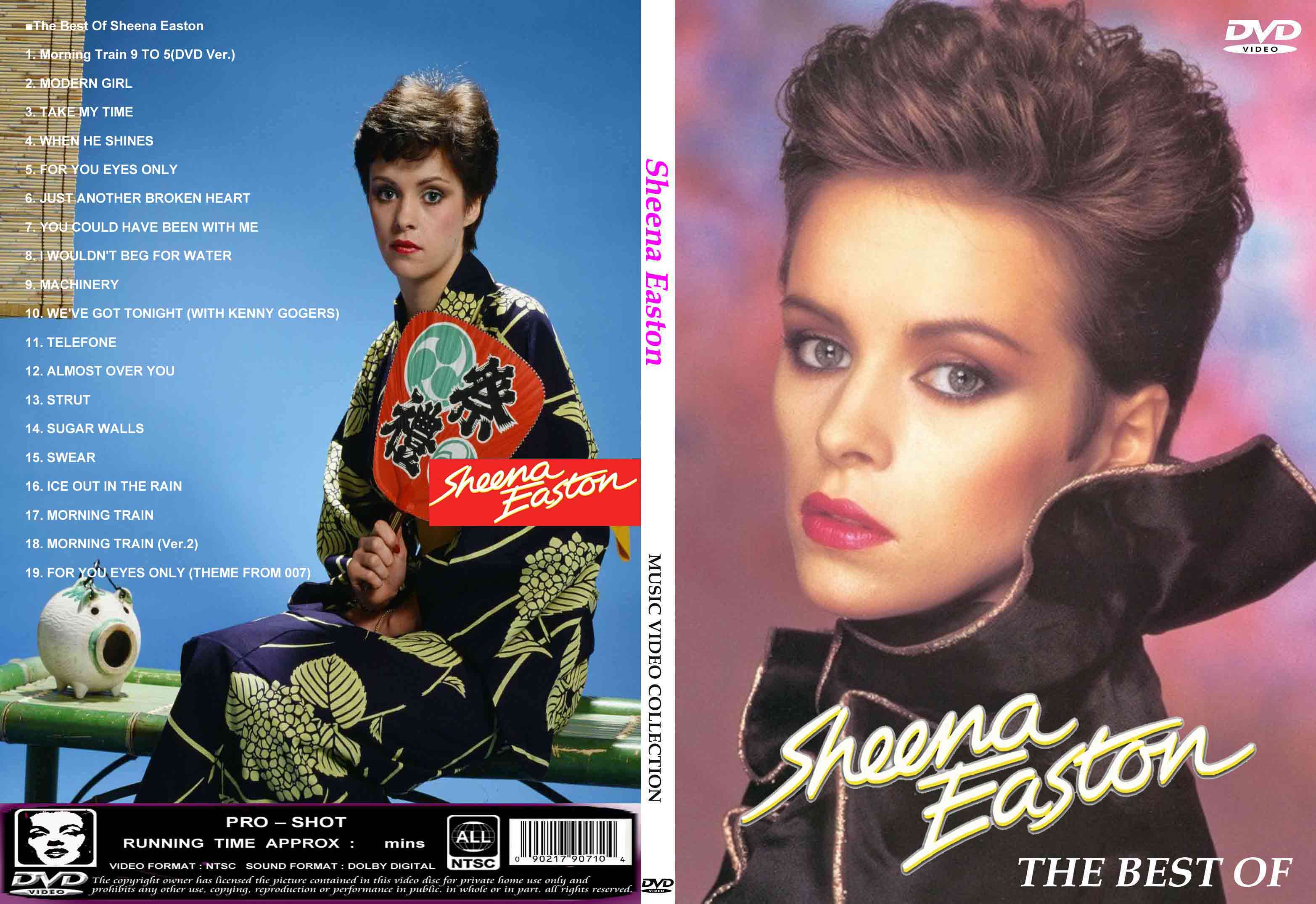 シーナ・イーストン The Best Of Sheena Easton DVD - souflesh